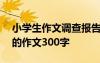 小学生作文调查报告400字 小学生调查报告的作文300字