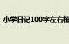 小学日记100字左右植物 小学日记100字(2)