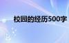 校园的经历500字 校园经历的事作文