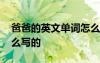 爸爸的英文单词怎么讲 爸爸的英文单词是什么写的