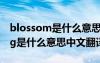 blossom是什么意思中文翻译成 blossoming是什么意思中文翻译