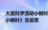 大班科学活动小树叶 幼儿园大班科学教案《小树叶》含反思