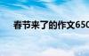 春节来了的作文650字 春节来了的作文