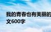 我的青春也有美丽的颜色作文600字 颜色作文600字