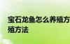 宝石龙鱼怎么养殖方法图片 宝石龙鱼怎么养殖方法