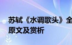 苏轼《水调歌头》全诗译文 苏轼的水调歌头原文及赏析