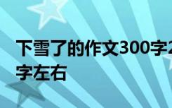 下雪了的作文300字200个字 下雪了作文100字左右