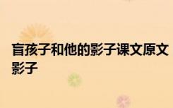 盲孩子和他的影子课文原文 阅读习题及答案之盲孩子和他的影子