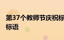 第37个教师节庆祝标语 第38个教师节的简短标语