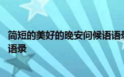 简短的美好的晚安问候语语录大全 简短的美好的晚安问候语语录