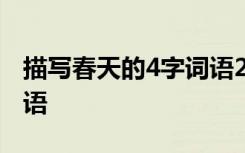 描写春天的4字词语20个 描写春天的4个字词语