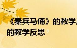 《秦兵马俑》的教学反思与评价 《秦兵马俑》的教学反思