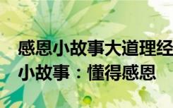 感恩小故事大道理经典大全集50字 感恩哲理小故事：懂得感恩