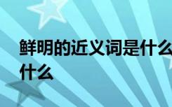 鲜明的近义词是什么二年级 鲜明的近义词是什么