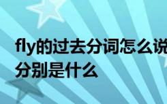 fly的过去分词怎么说 fly的过去式和过去分词分别是什么