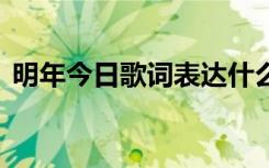 明年今日歌词表达什么情感 明年今天的歌词