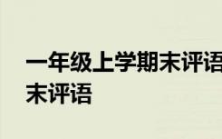 一年级上学期末评语大全简短 一年级上学期末评语