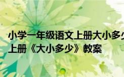 小学一年级语文上册大小多少的教案 部编版小学一年级语文上册《大小多少》教案