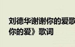 刘德华谢谢你的爱歌词国语版 刘德华《谢谢你的爱》歌词