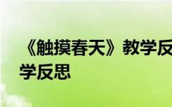 《触摸春天》教学反思中班 《触摸春天》教学反思