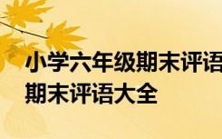 小学六年级期末评语短小精悍 六年级小学生期末评语大全