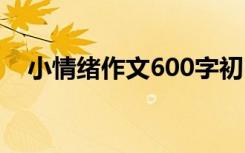 小情绪作文600字初中 小情绪作文600字