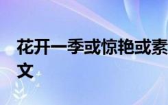 花开一季或惊艳或素雅 花开一季,过往一场散文