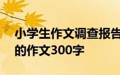 小学生作文调查报告400字 小学生调查报告的作文300字