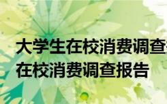 大学生在校消费调查报告总结1000字 大学生在校消费调查报告