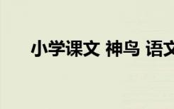 小学课文 神鸟 语文课文神鸟教案参考