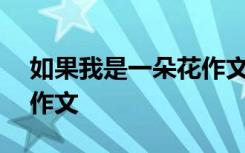 如果我是一朵花作文800字 如果我是一朵花作文