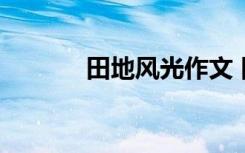 田地风光作文 田地作文600字