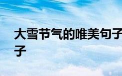 大雪节气的唯美句子短句 大雪节气的唯美句子