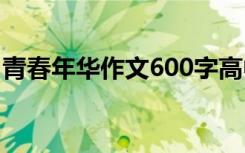 青春年华作文600字高中 青春年华作文600字