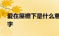 爱在屋檐下是什么意思 爱在屋檐下作文500字