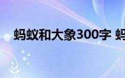 蚂蚁和大象300字 蚂蚁和大象作文800字