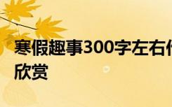 寒假趣事300字左右作文 寒假趣事300字作文欣赏