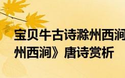 宝贝牛古诗滁州西涧韦应物朗读 韦应物《滁州西涧》唐诗赏析