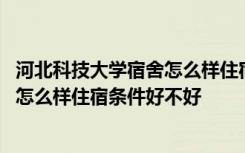 河北科技大学宿舍怎么样住宿条件好不好 河北科技学院宿舍怎么样住宿条件好不好