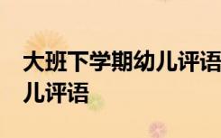 大班下学期幼儿评语简短40条 大班下学期幼儿评语