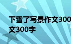 下雪了写景作文300字怎么写 下雪了写景作文300字