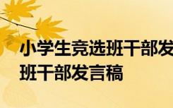 小学生竞选班干部发言稿二年级 小学生竞选班干部发言稿