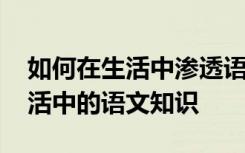 如何在生活中渗透语言教育 作文：渗透在生活中的语文知识