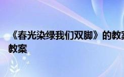 《春光染绿我们双脚》的教案反思 《春光染绿我们双脚》的教案