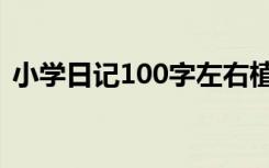 小学日记100字左右植物 小学日记100字(2)