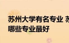 苏州大学有名专业 苏州大学专业排名及介绍哪些专业最好