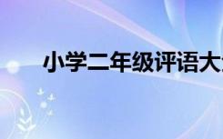 小学二年级评语大全 小学二年级评语