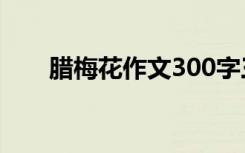 腊梅花作文300字三年级 腊梅花作文