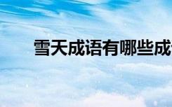 雪天成语有哪些成语大全 雪天的成语