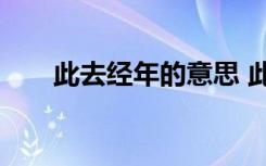 此去经年的意思 此去经年作文800字